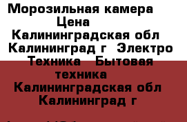 Морозильная камера Hansa › Цена ­ 11 000 - Калининградская обл., Калининград г. Электро-Техника » Бытовая техника   . Калининградская обл.,Калининград г.